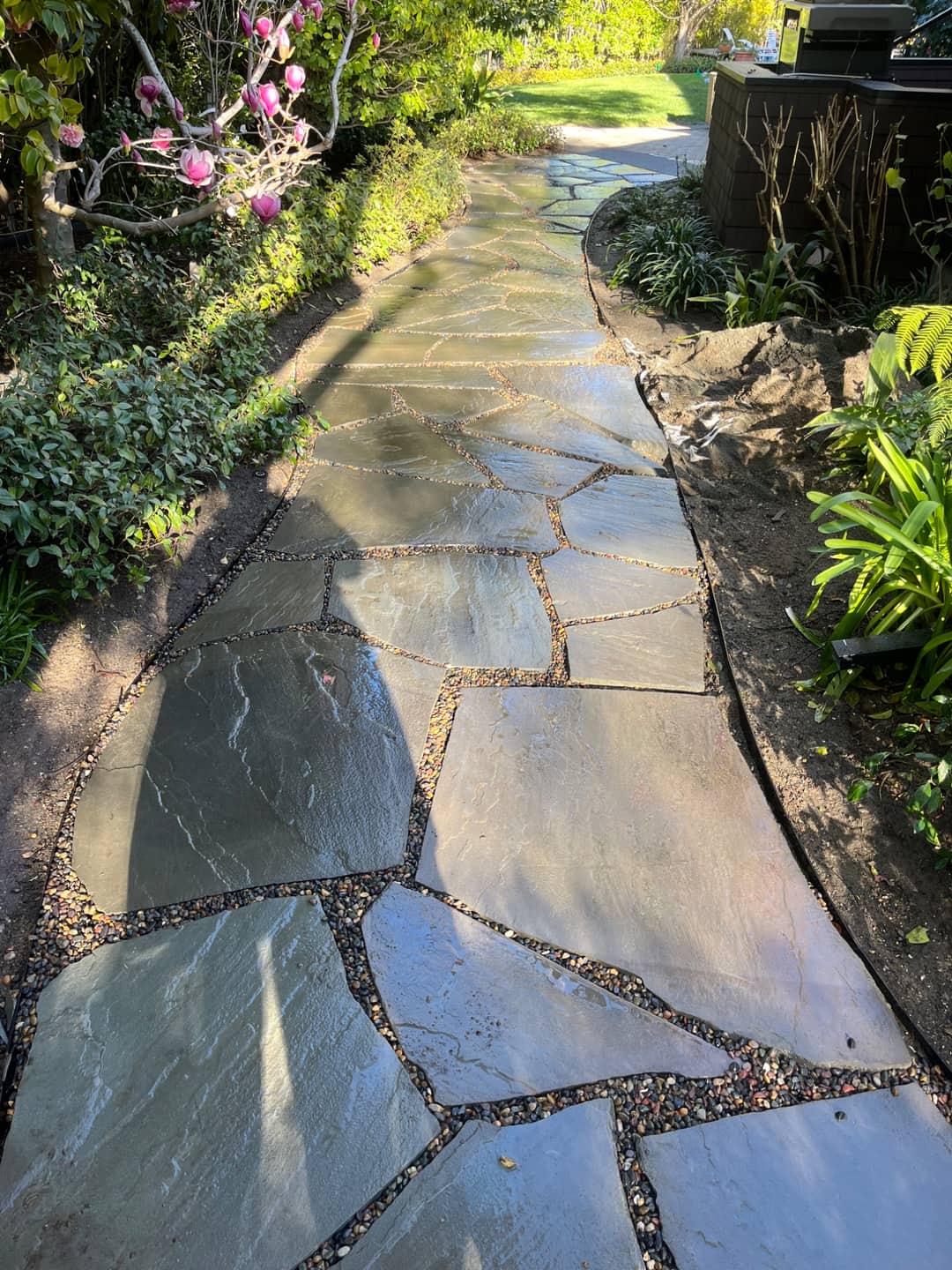 A flagstone walkway running through a shaded, well-established garden