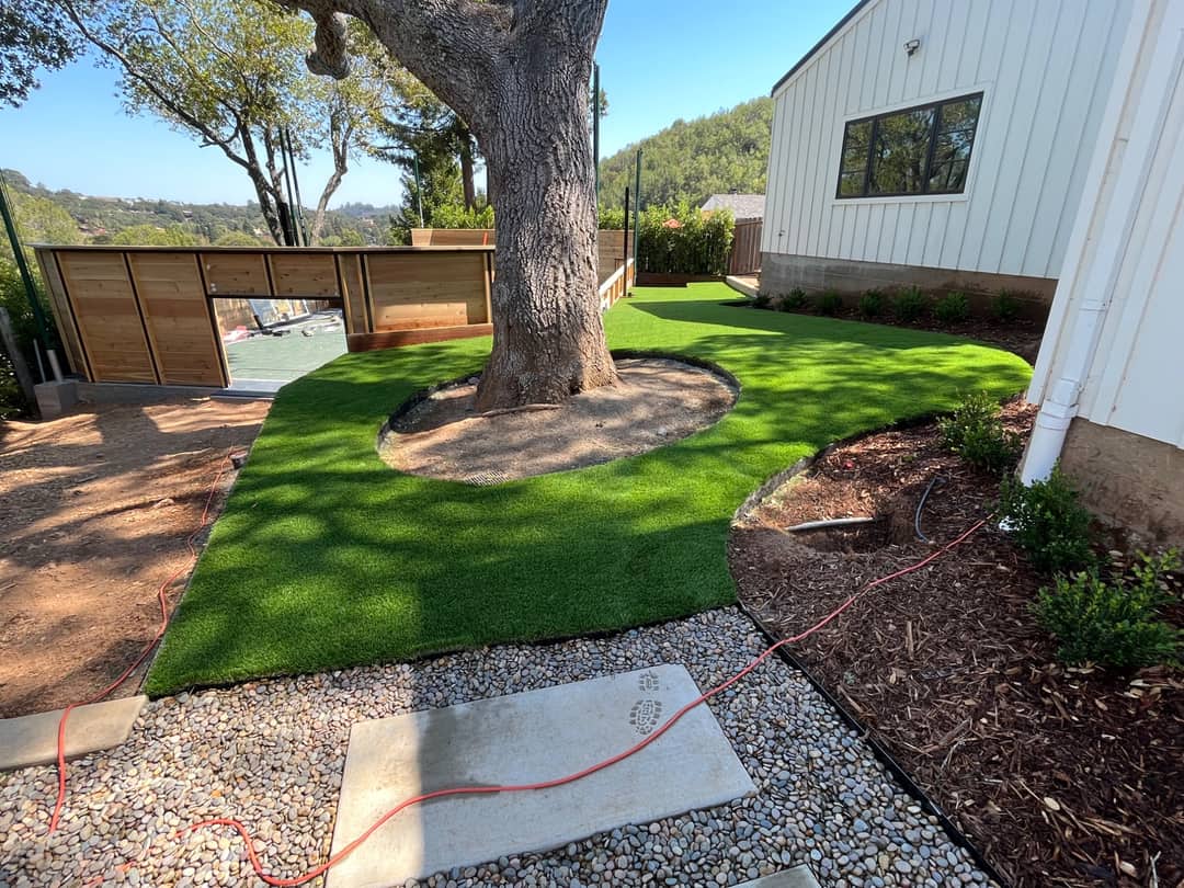 Artificial Turf or a Real Lawn? Choosing for a North Bay Garden