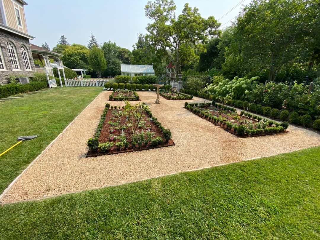 A formal gravel garden with box-edged planting beds laid out in front of a white house