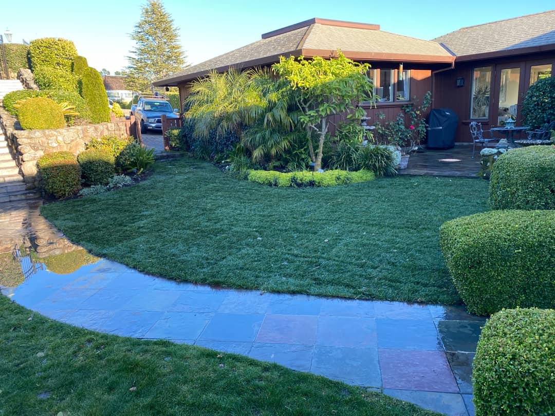 A front lawn with a flagstone path curving to the door, framed by clipped shrubs