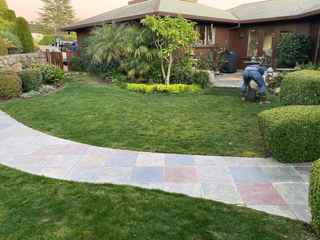 A finished lawn and flagstone path in front of a single-storey house, with planting beds beyond